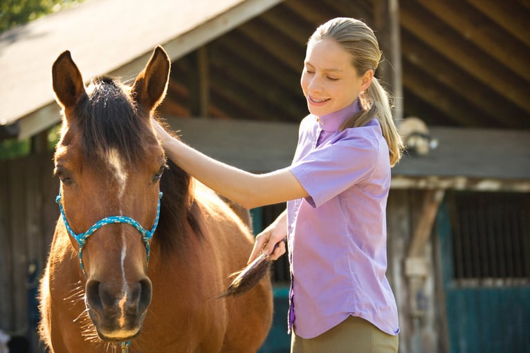 Teenage girl grooming horse