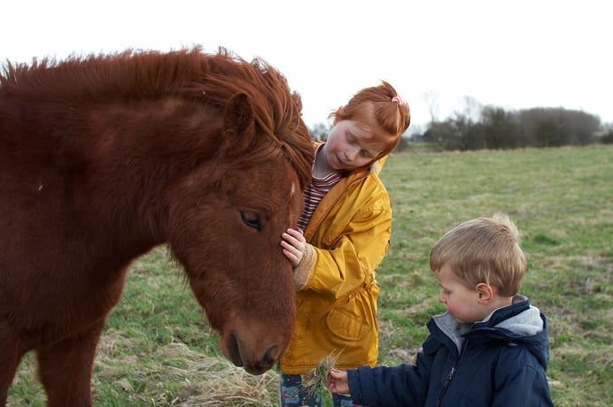 Two kids and horse